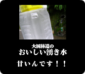 大国林道のおいしい湧き水